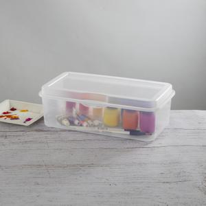 Belle Vous Small Clear Plastic Storage Box Containers with Hinged Lid (36  Pack) – L3.5 x W3.5 x H2cm / 1.38 x 1.38 x 0.79 Inches – Mini Boxes for  Pills, Beads, Jewellery & Craft Items – BigaMart