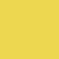 Black/ Yellow Lily