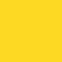 Yellow Bikini