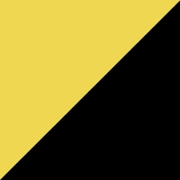 Yellow Lily / Black